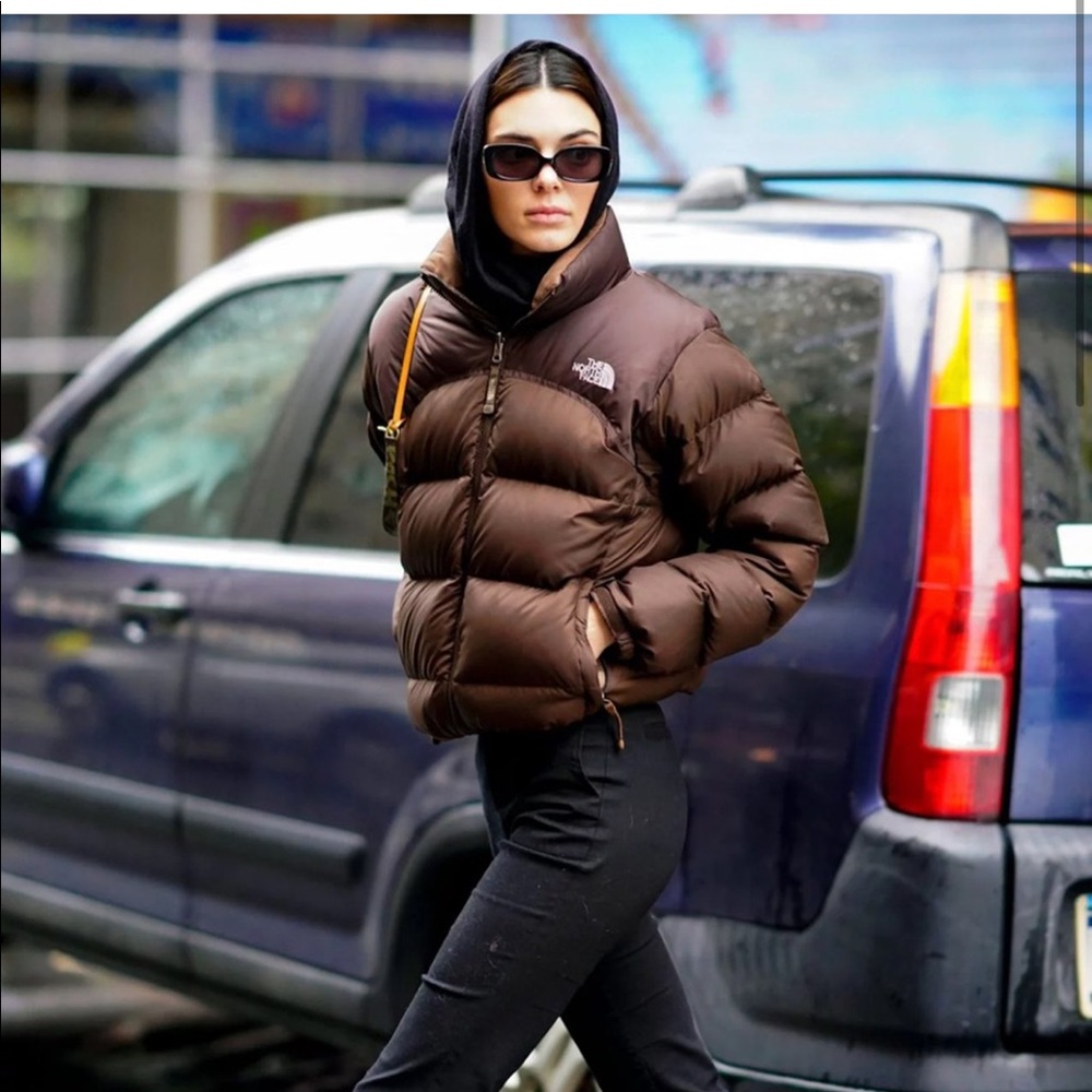 ISO Brown north face puffer